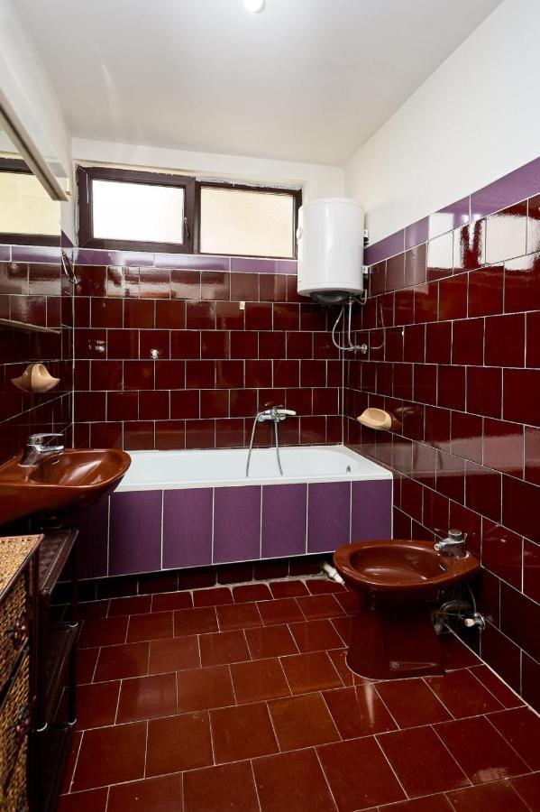 Apartmani Dr. Gasa Soko Banja Exteriör bild